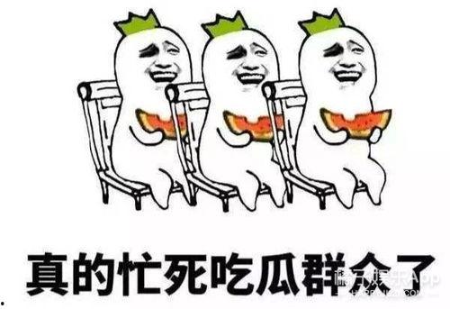 执着的吃瓜,揭秘娱乐圈背后的真相与八卦  第1张